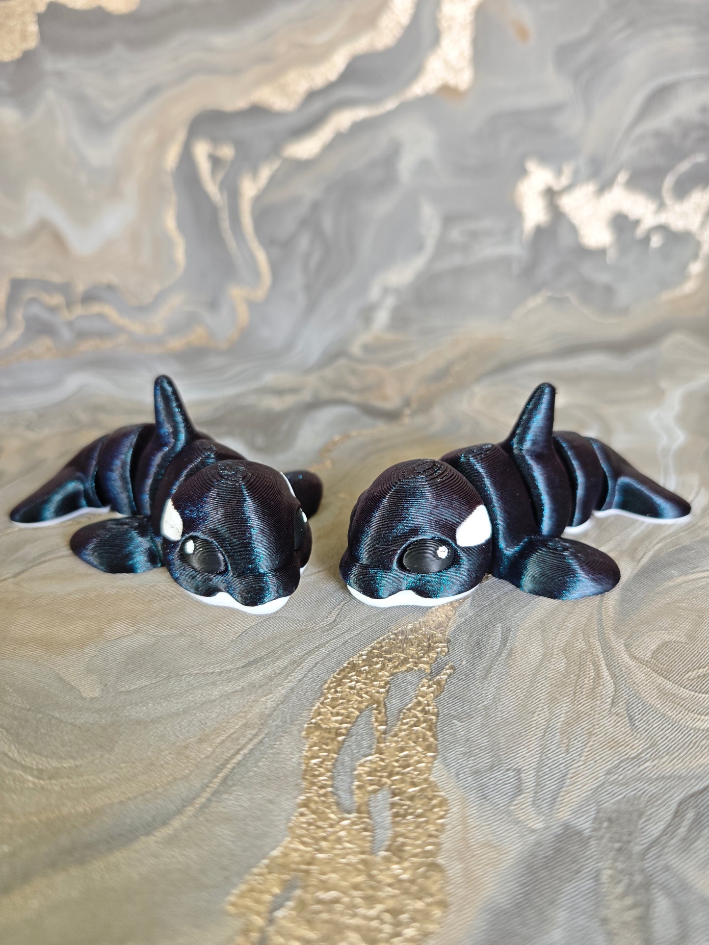 Orca Willi Midi