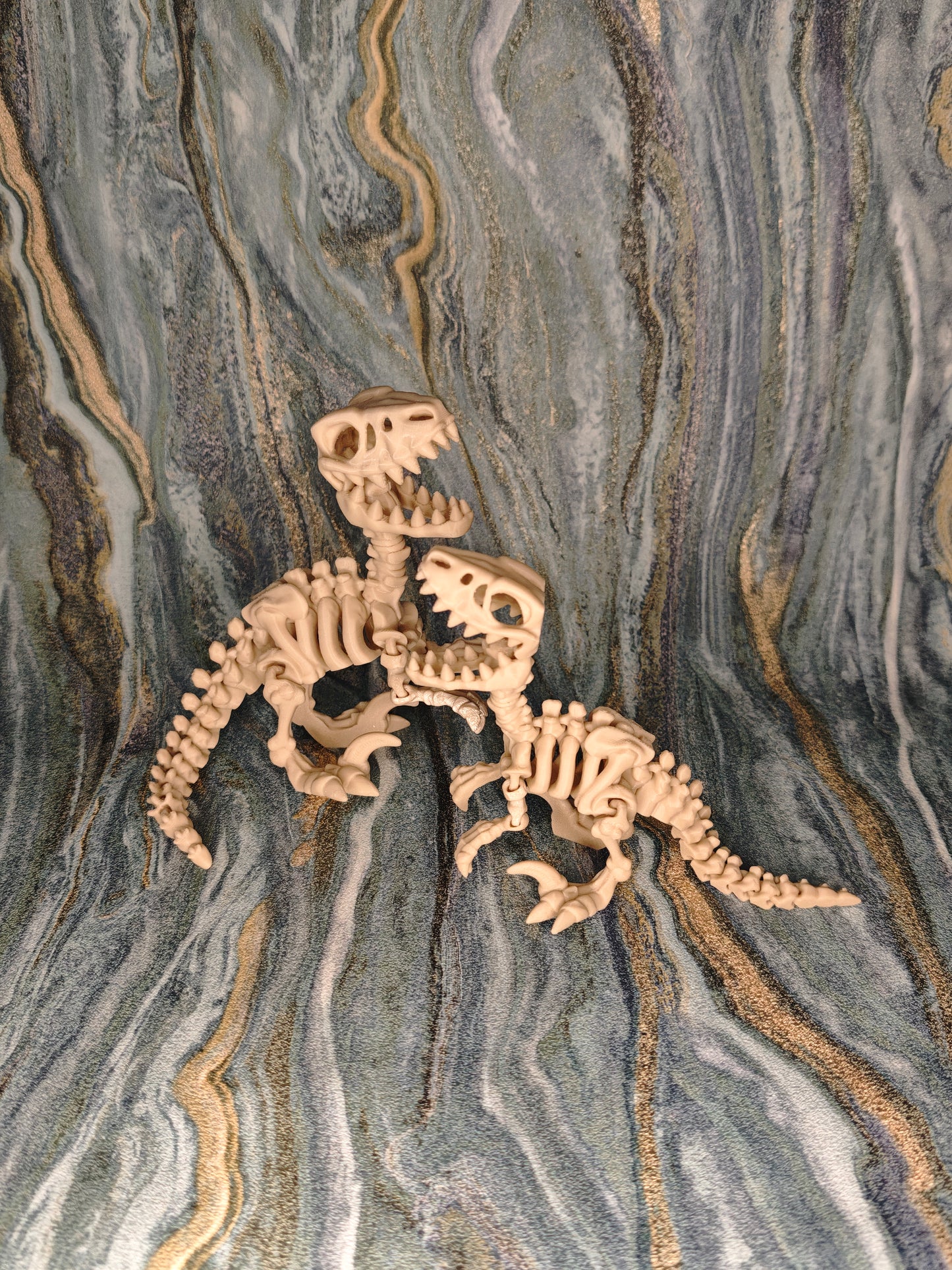 Velociraptor Skelett