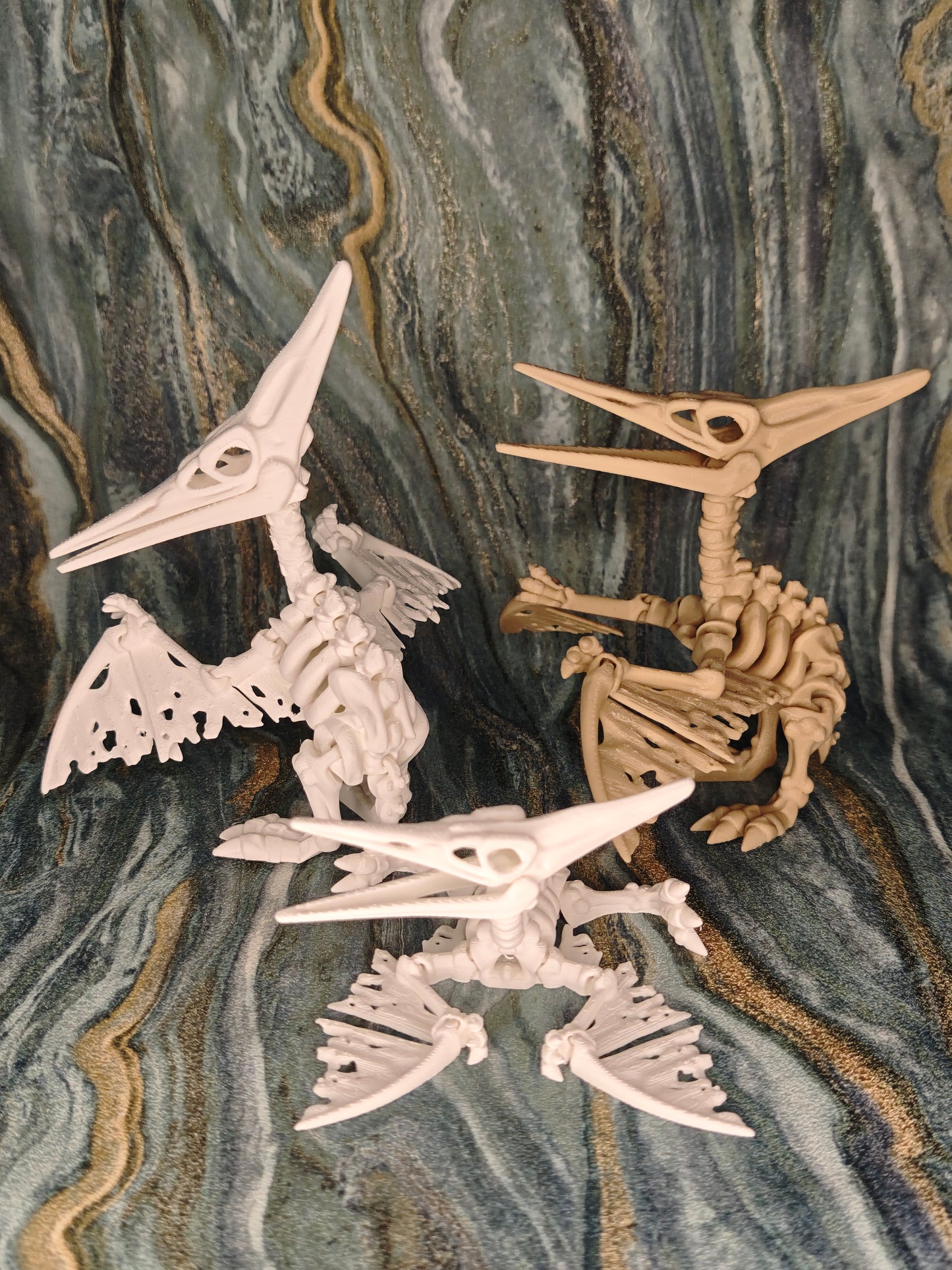 Pteranodon Skelett