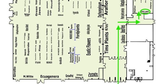 04.10.2025 - myBotanika Hamm – ich bin wieder da! 🌿