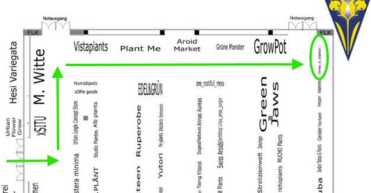 13.09.2025 - myBotanika Ulm – ich bin wieder dabei! 🌱
