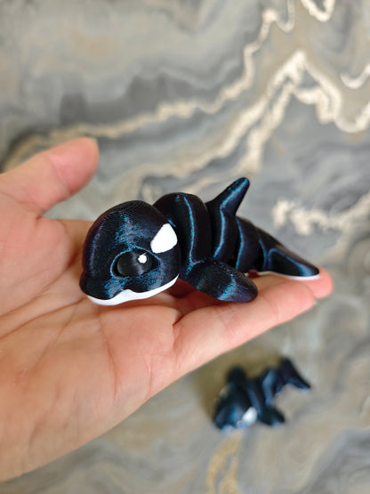 Orca Willi Midi