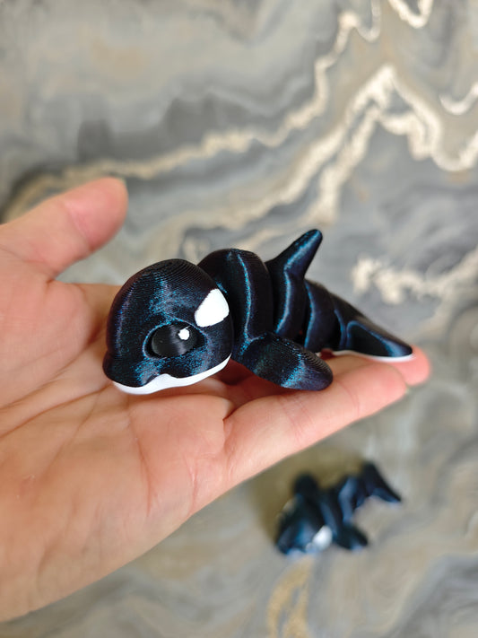 Orca Willi Midi