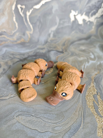 Schnabeltier Nami