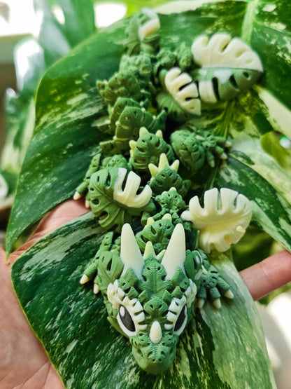 Drache Leafy