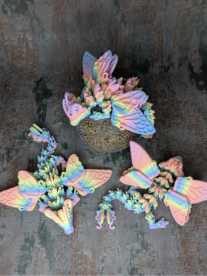 Drache Mariposa
