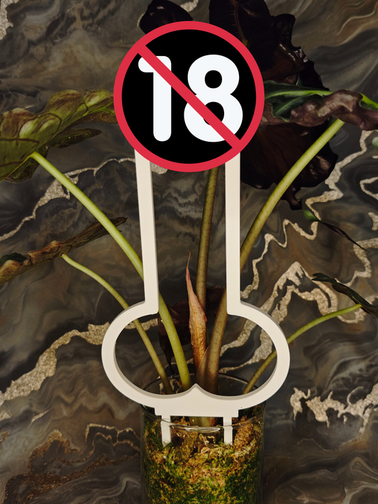 Rankhilfe Goldständer