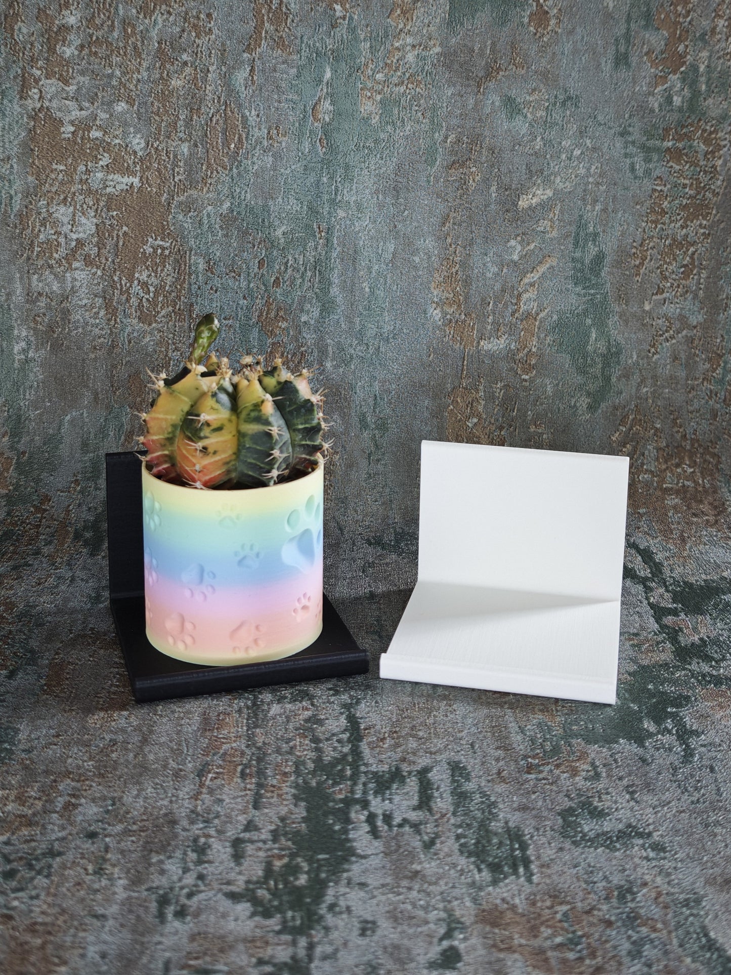 Vitrinenwinkel "Plant Up"