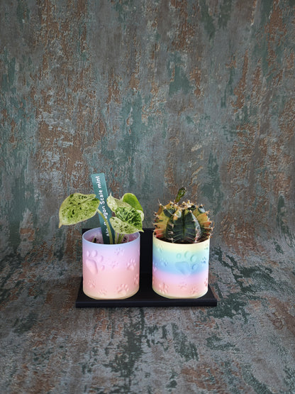 Vitrinenwinkel "Plant Up"