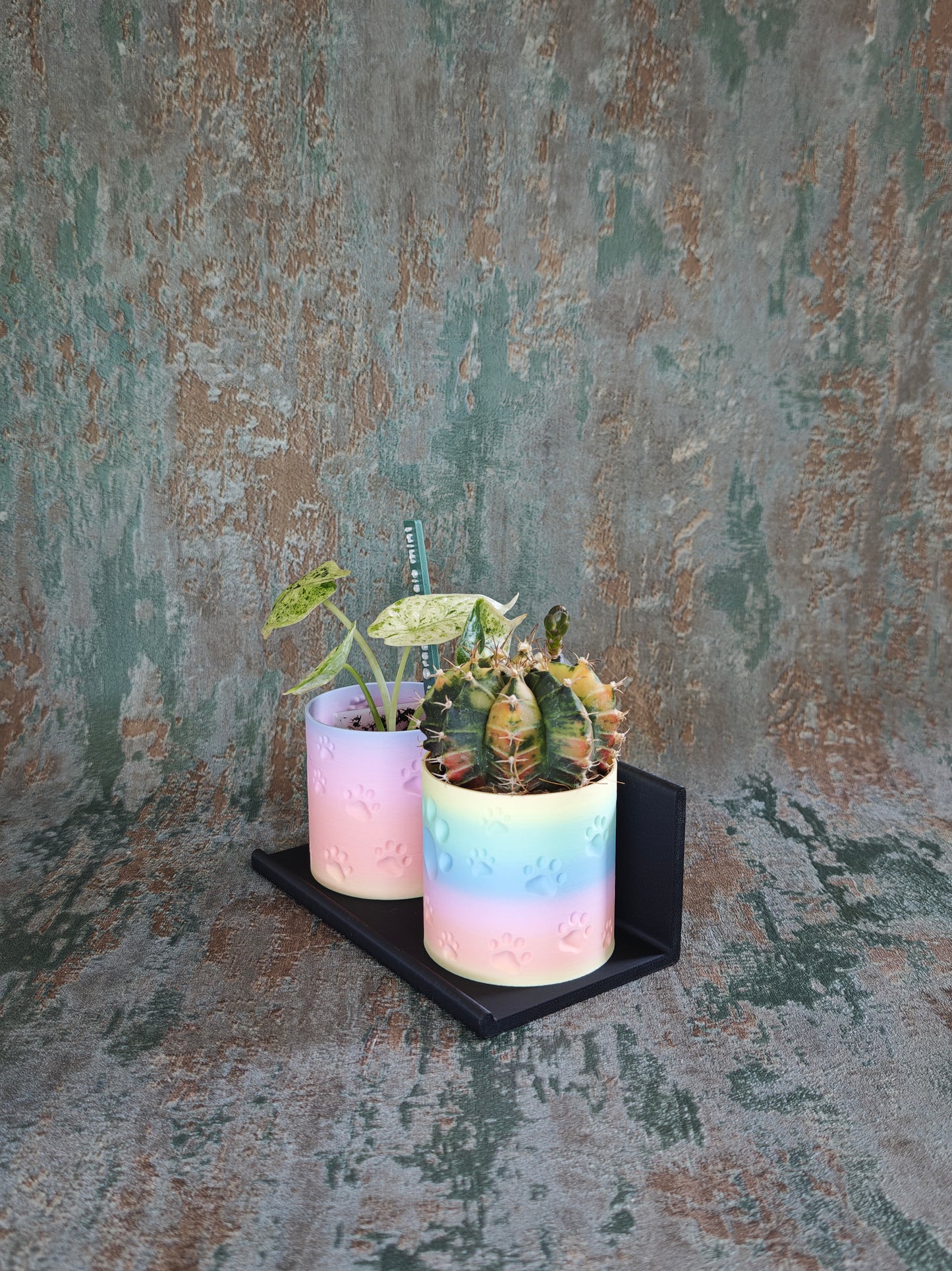 Vitrinenwinkel "Plant Up"