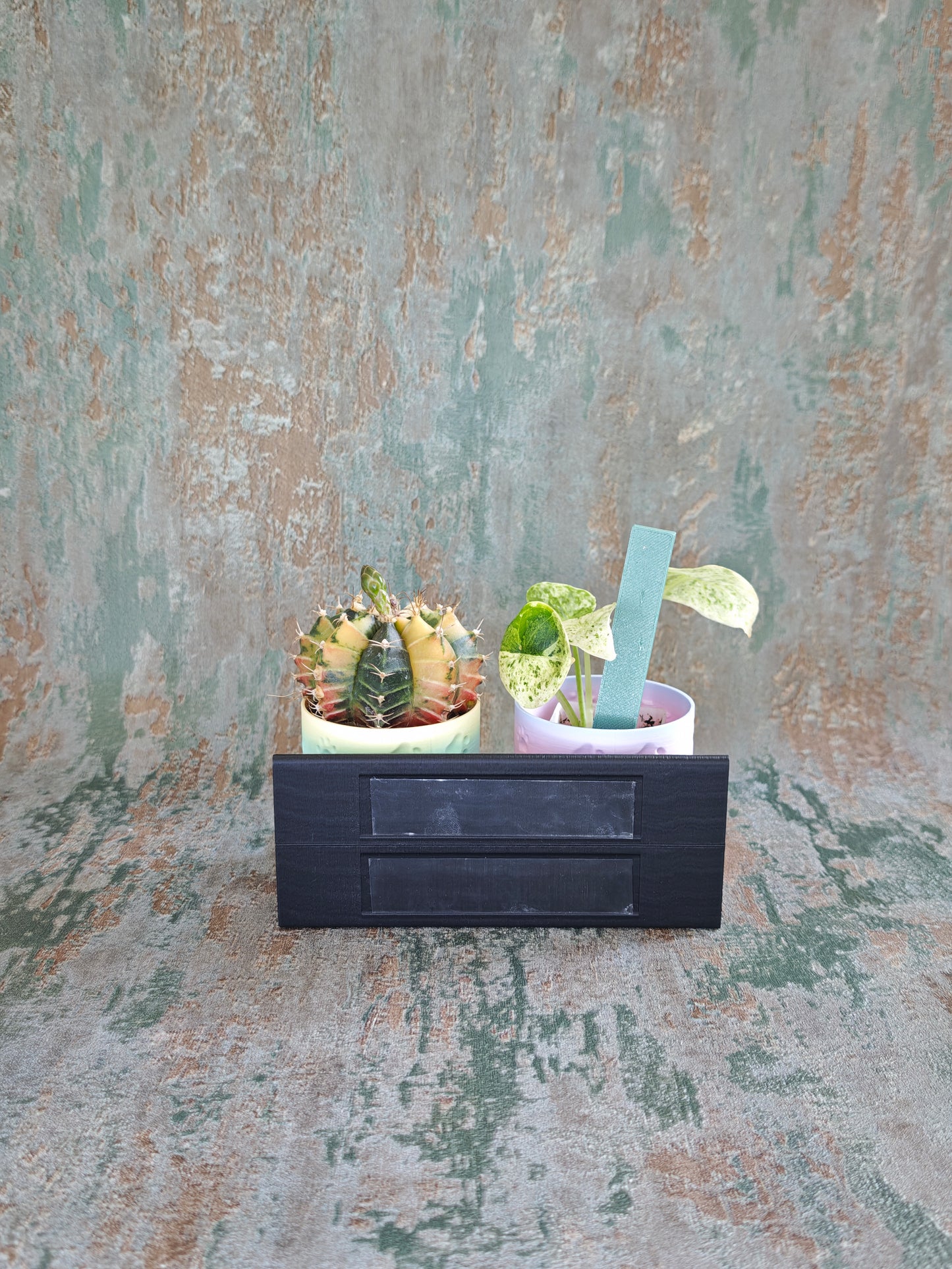 Vitrinenwinkel "Plant Up"