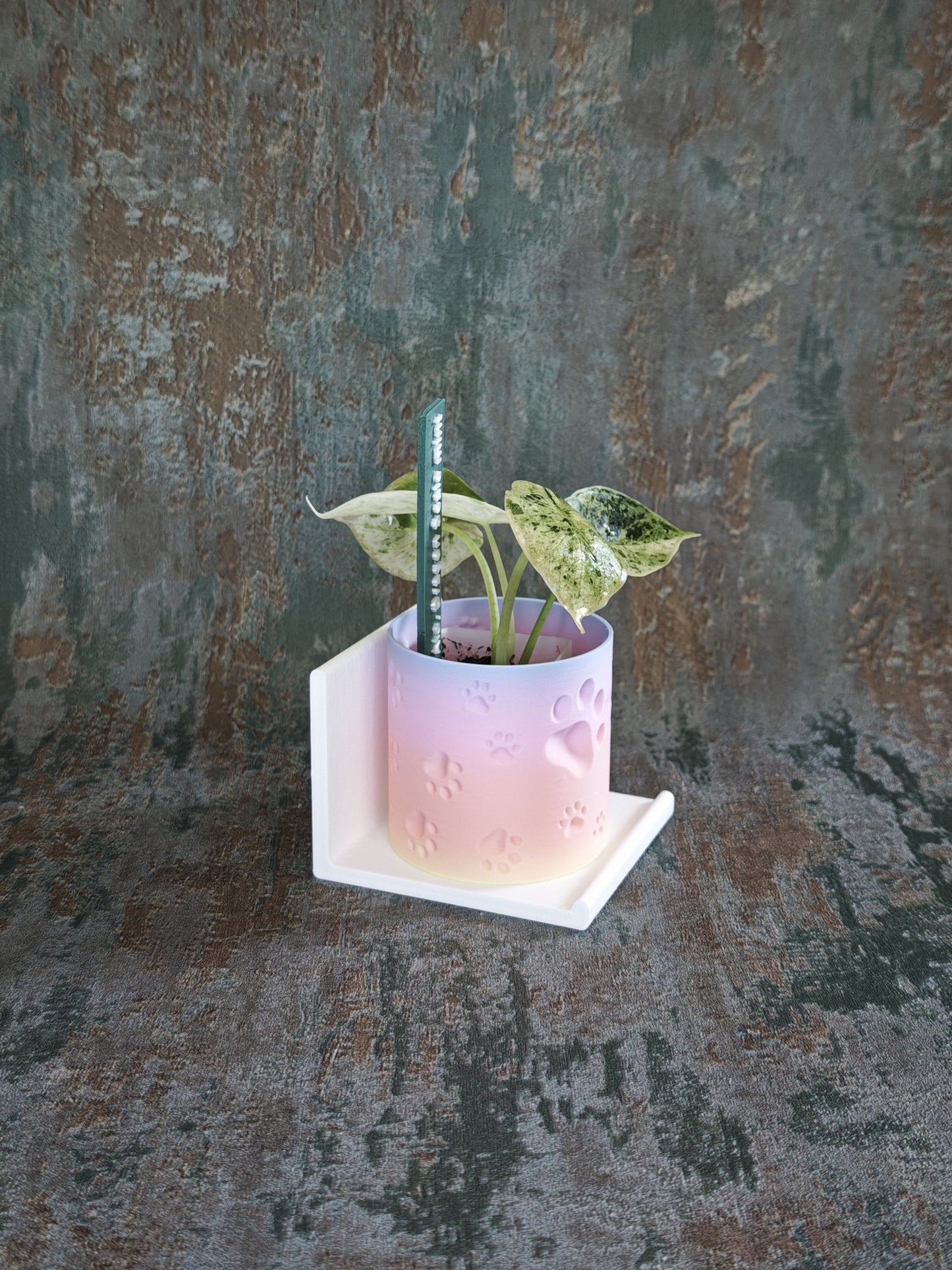 Vitrinenwinkel "Plant Up"