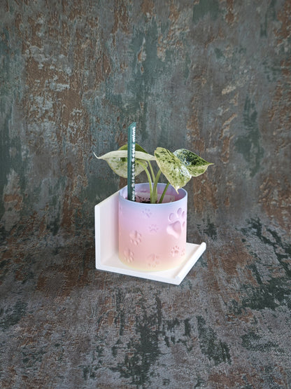 Vitrinenwinkel "Plant Up"