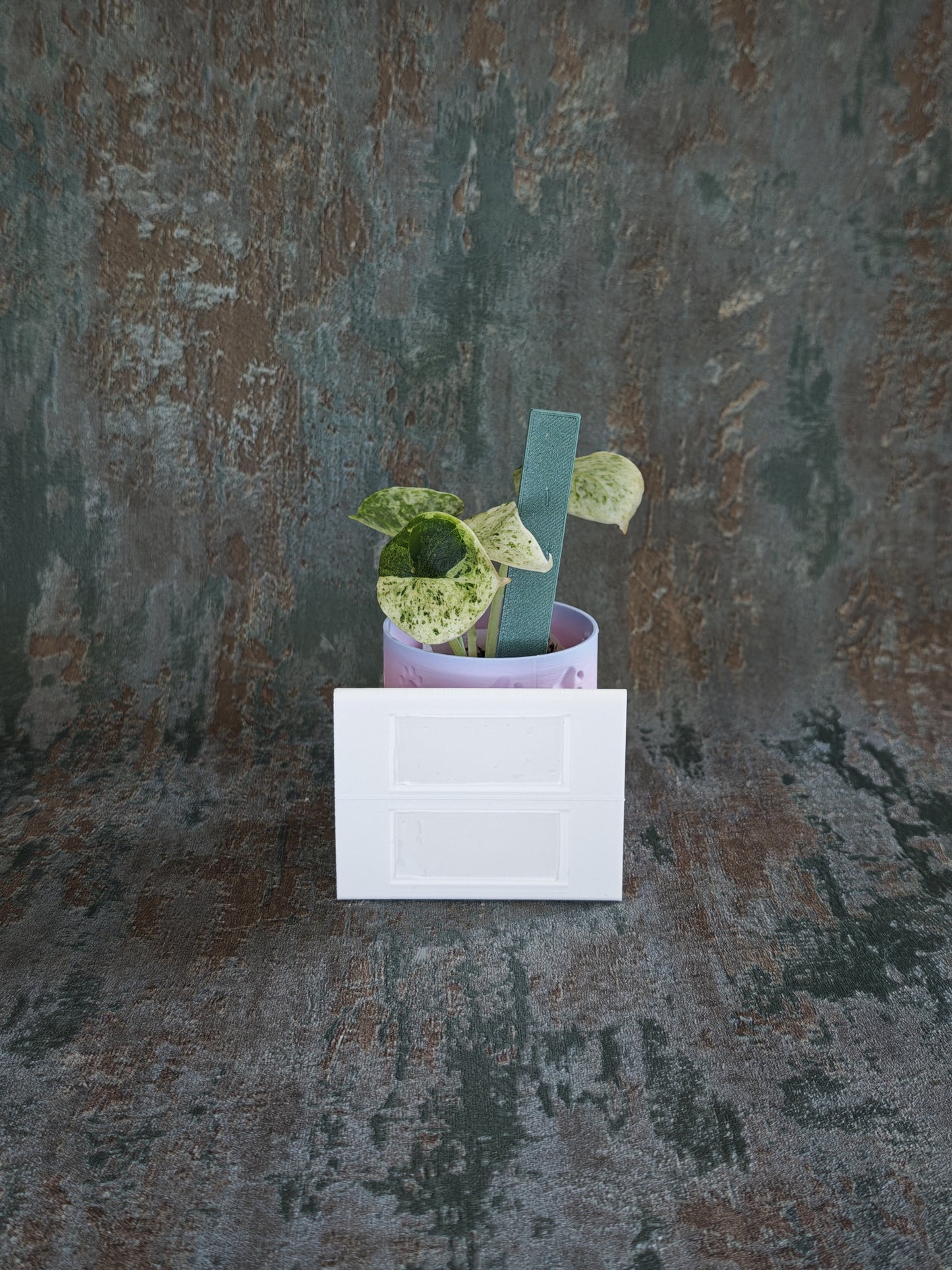 Vitrinenwinkel "Plant Up"