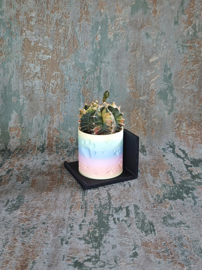 Vitrinenwinkel "Plant Up"