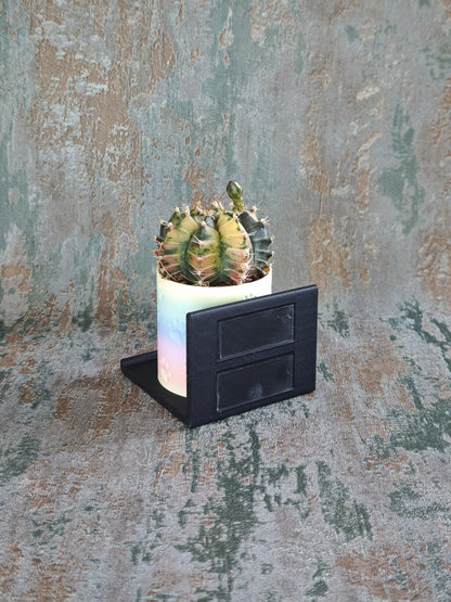 Vitrinenwinkel "Plant Up"