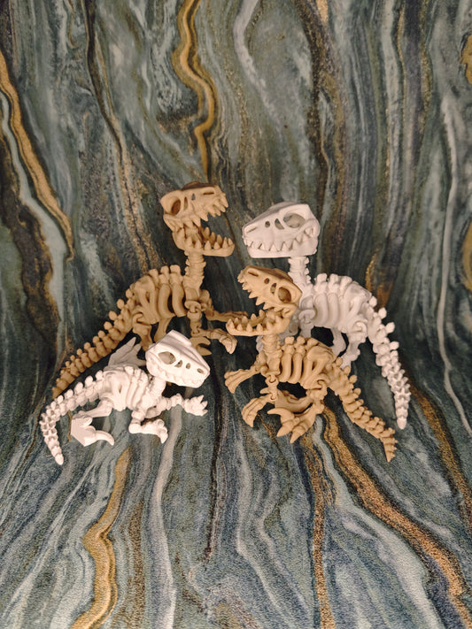 Velociraptor Skelett