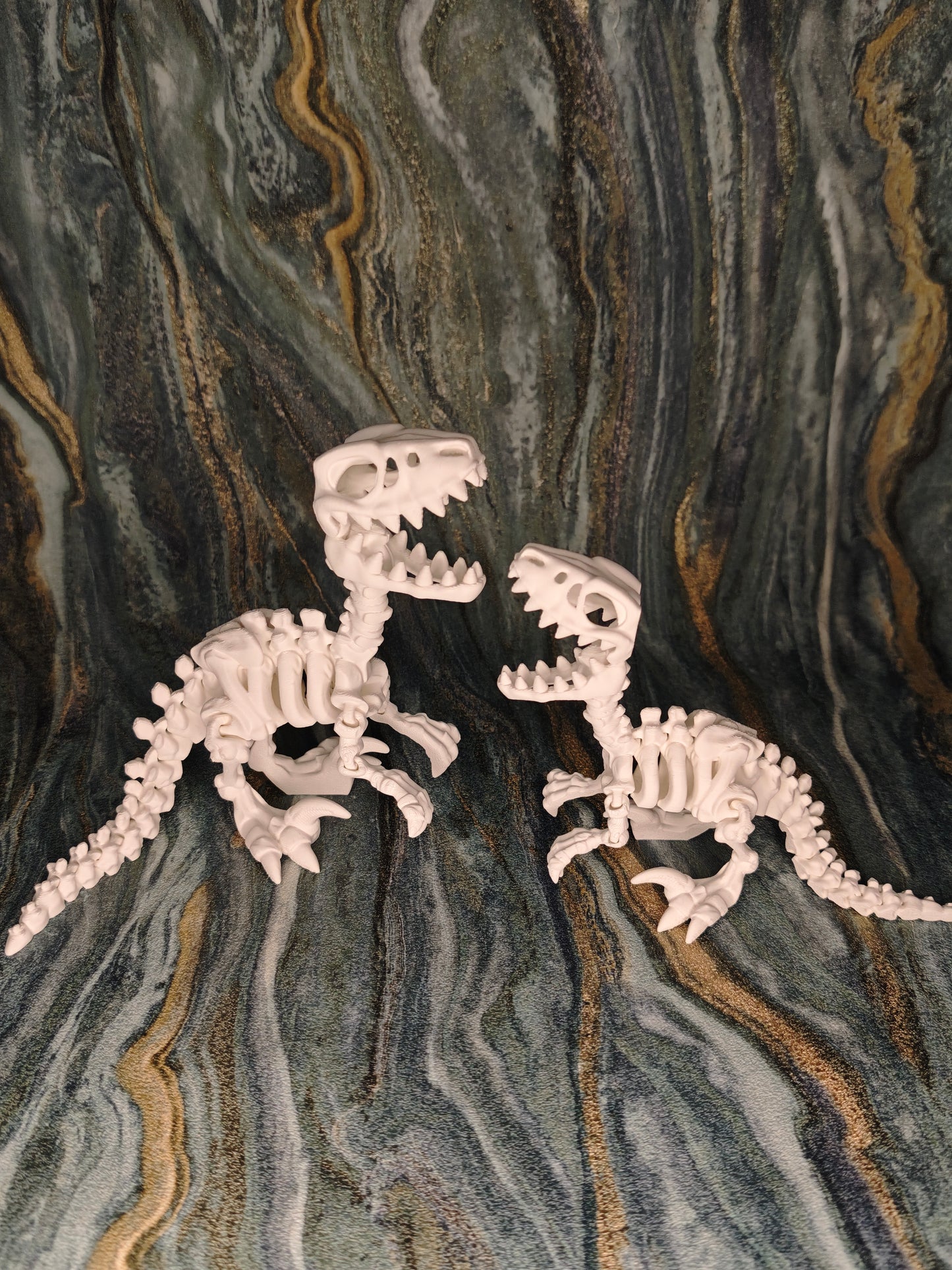 Velociraptor Skelett
