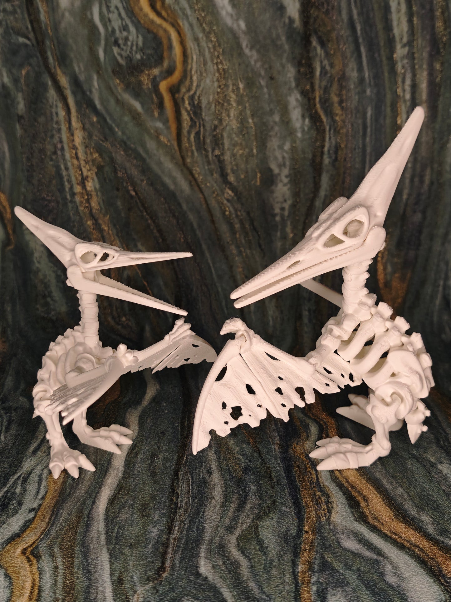 Pteranodon Skelett