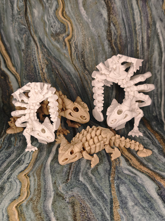 Ankylosaurus Skelett