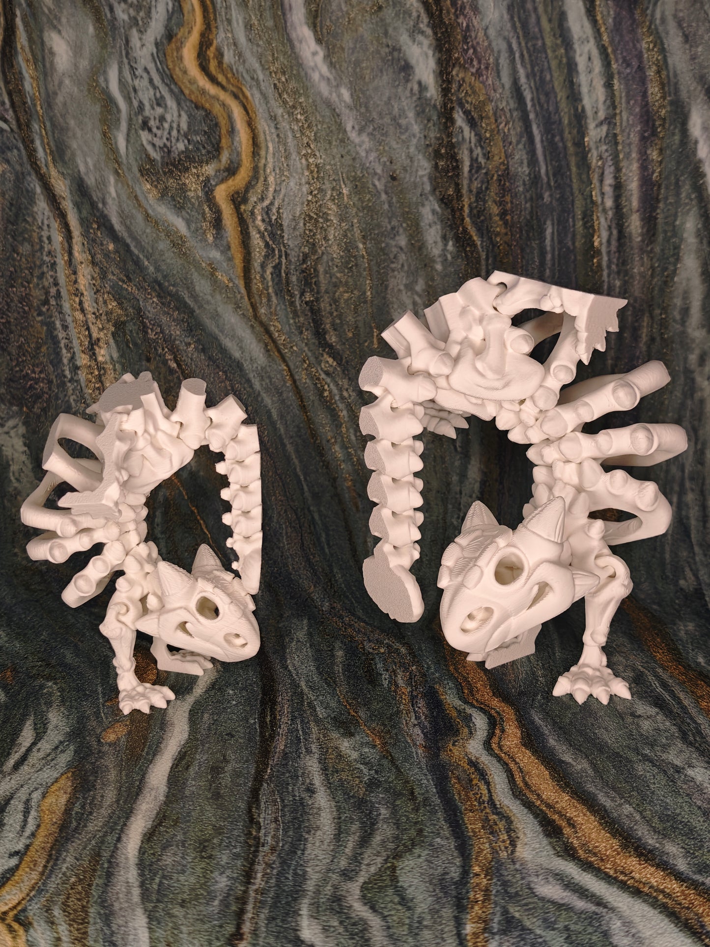 Ankylosaurus Skelett