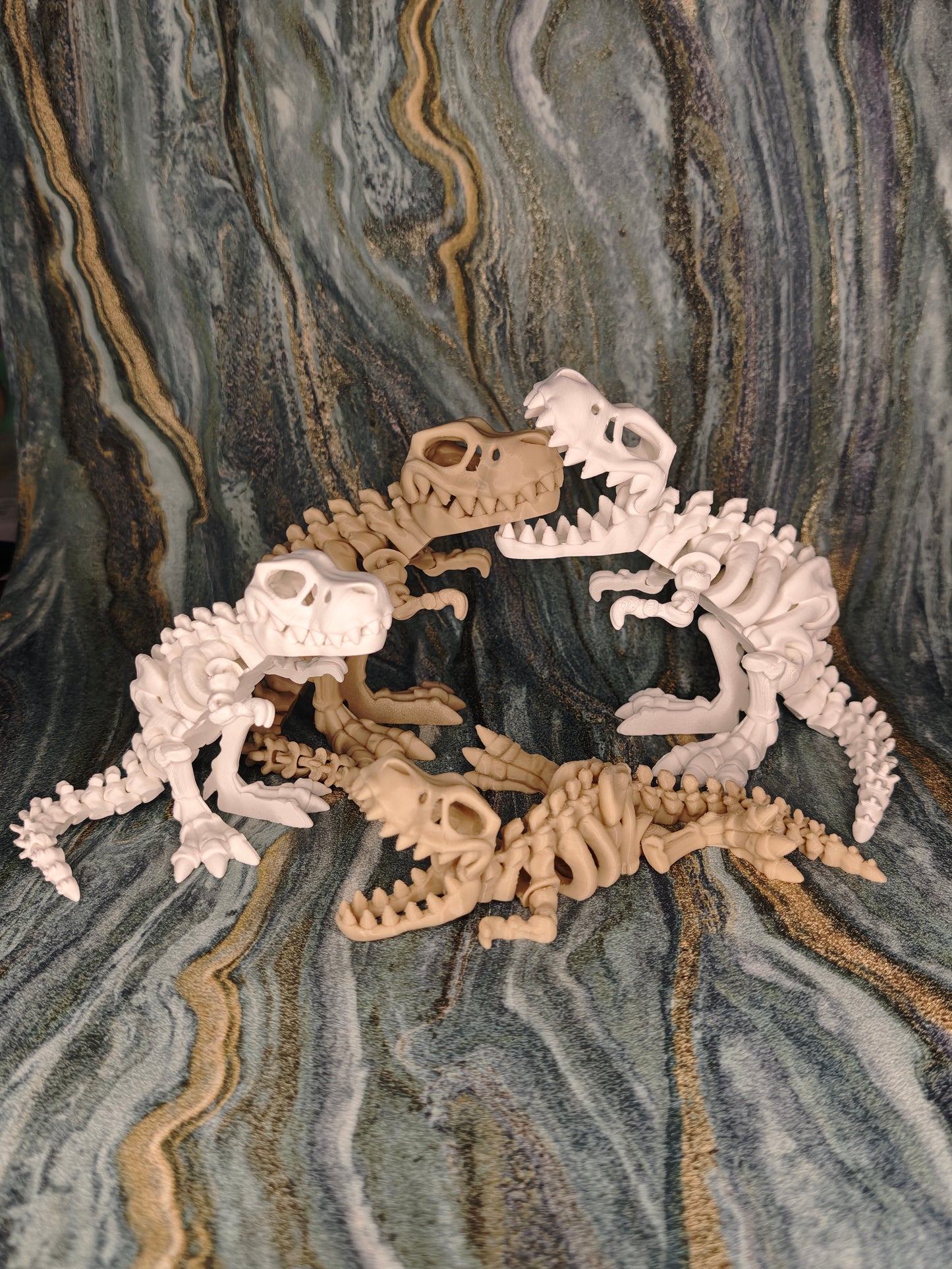 T-Rex Skelett