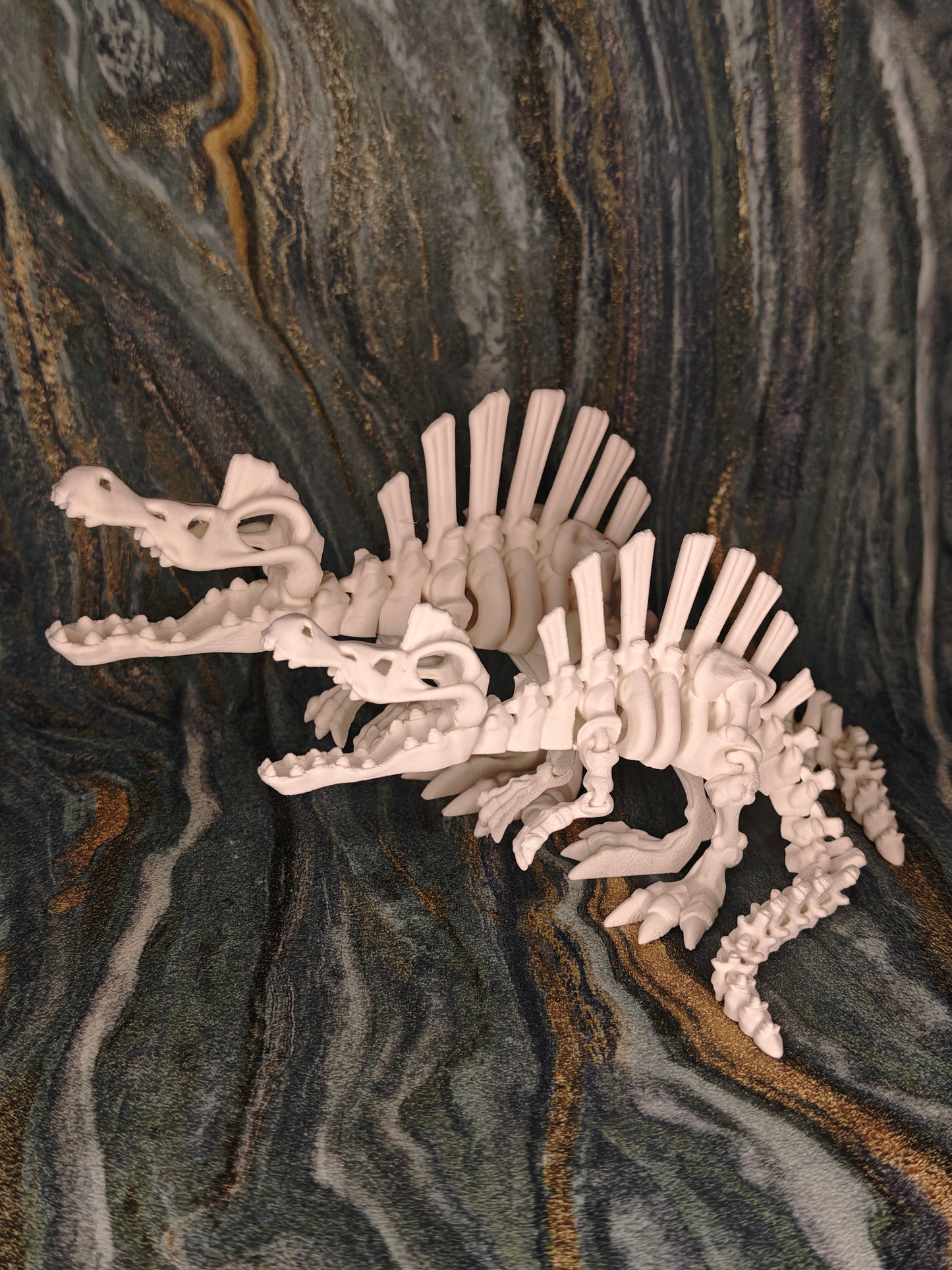 Spinosaurus Skelett