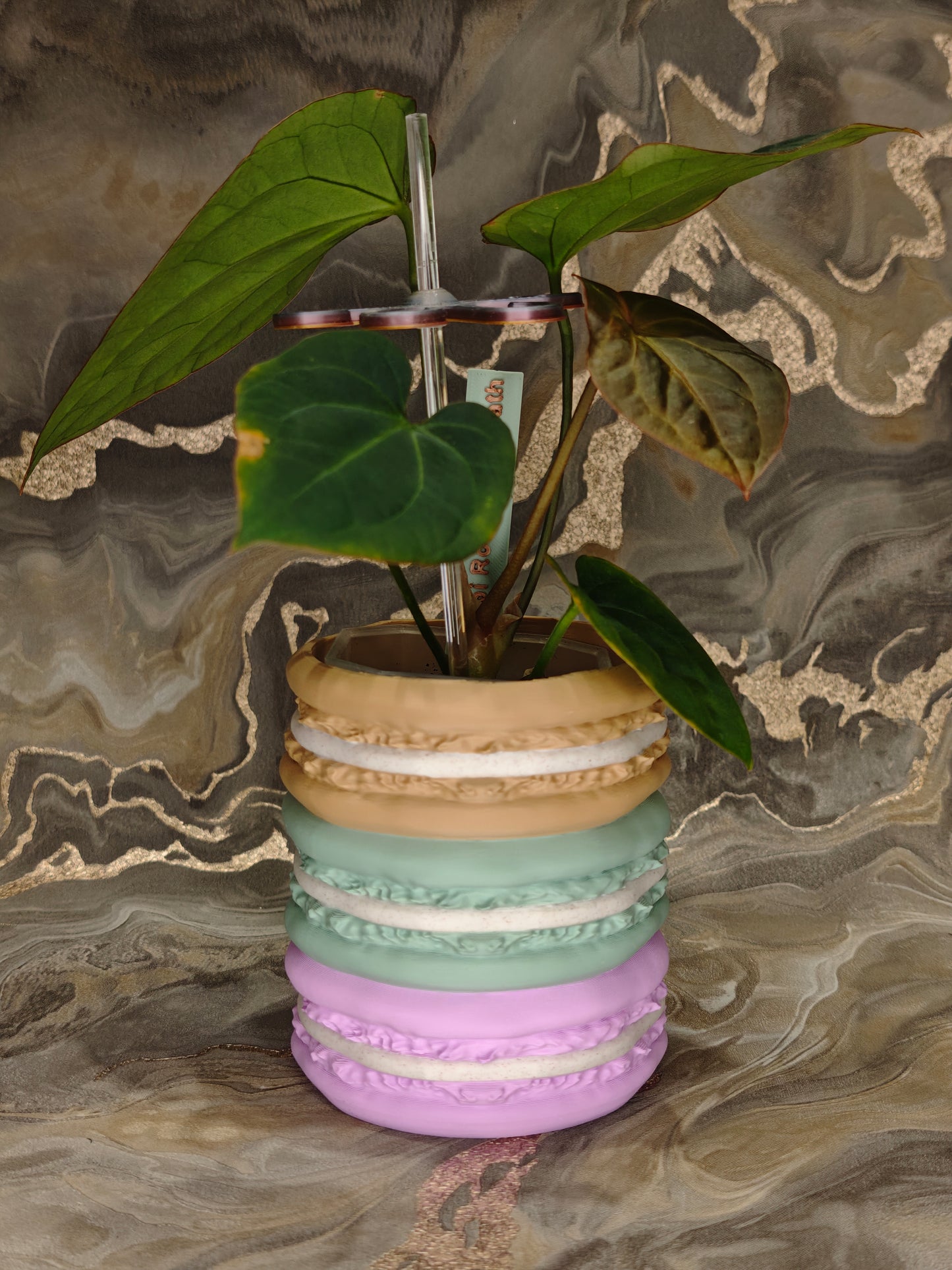Übertopf Macaron