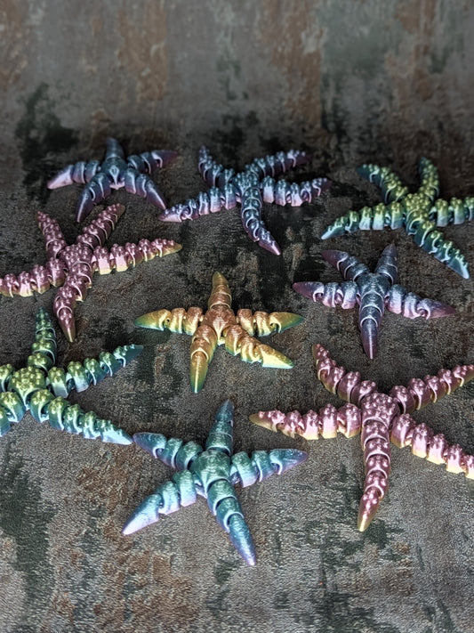 Seesterne Aqua & Maris