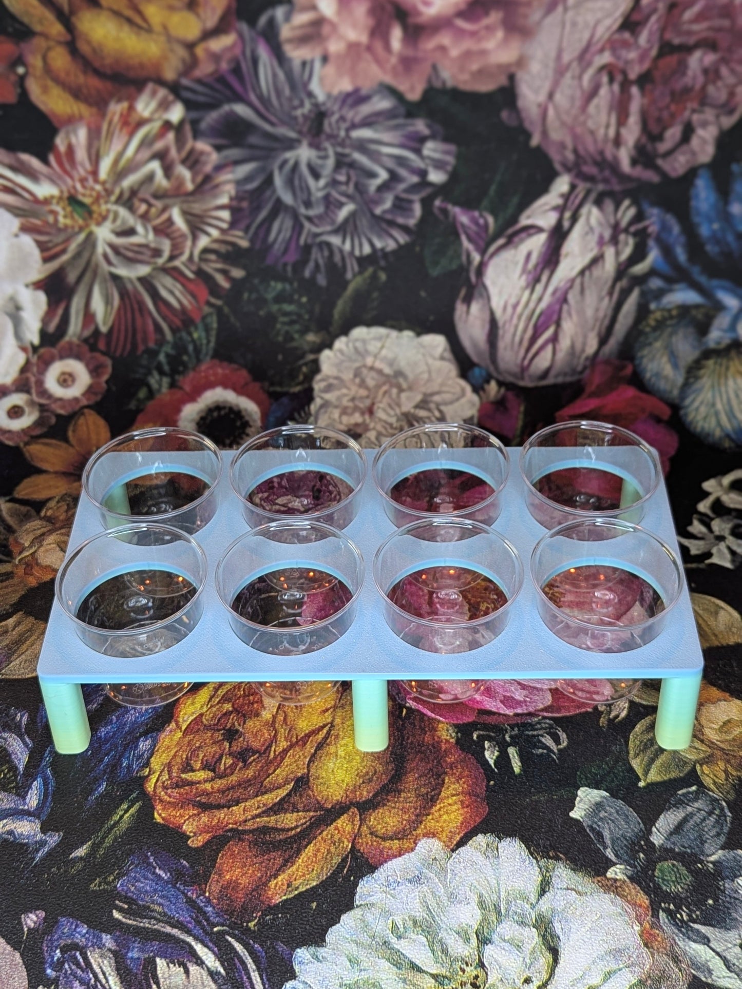 Anzucht-Set Semihydro